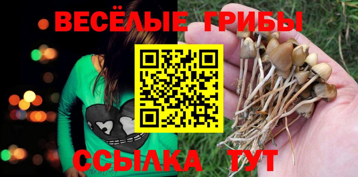 Галлюциногенные грибы Psilocybine cubensis  Вход с VPN  Верхняя Салда 